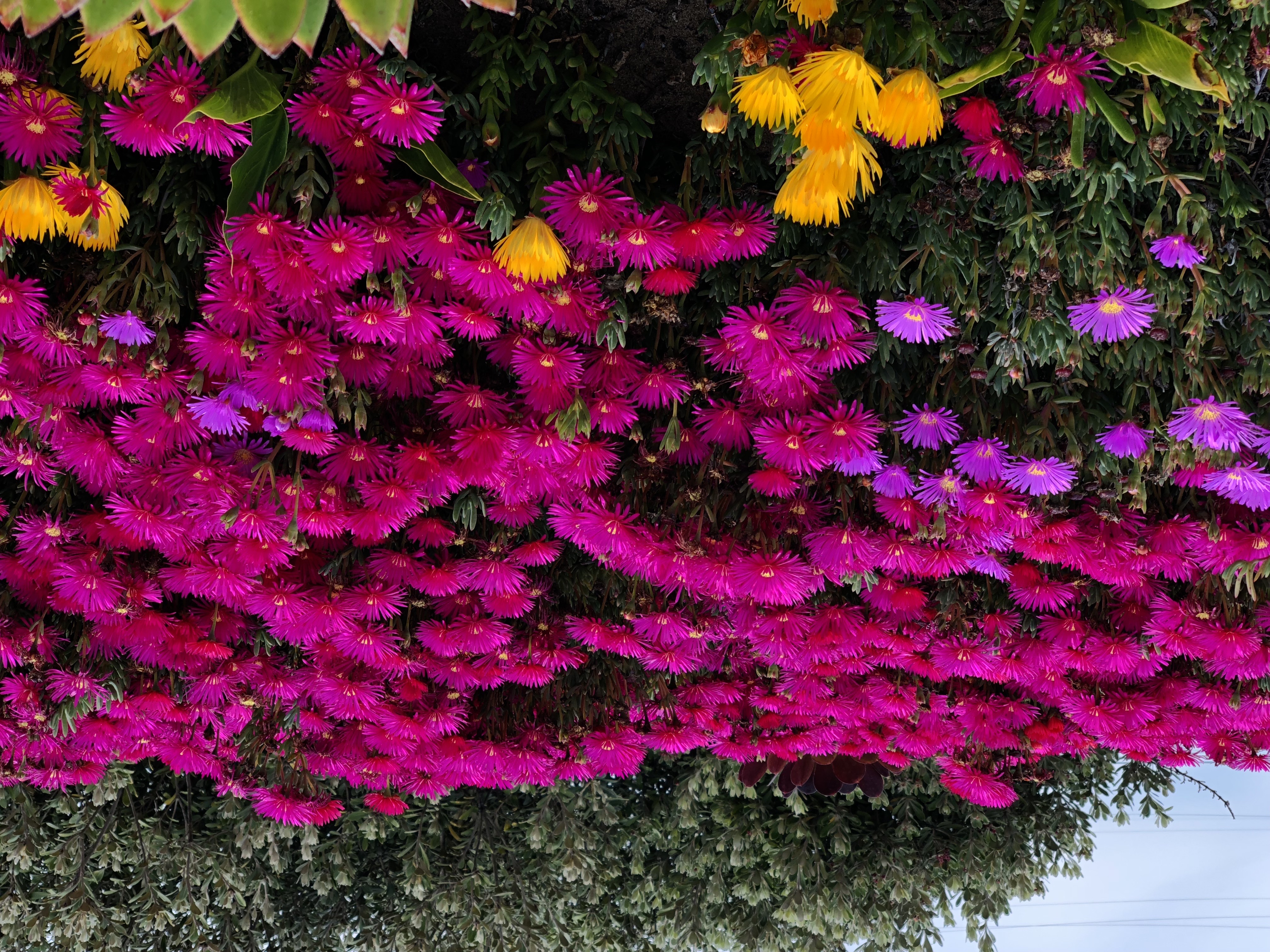 eee - صورة 1